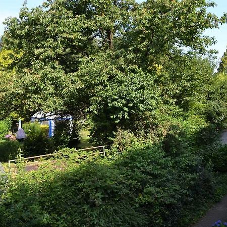 4 Sterne Ferienwohnungen Lavendel Brueggen Exteriör bild